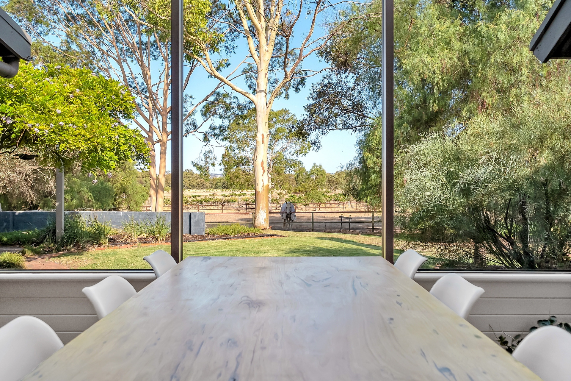 House Sold 191 Samuel Road, Nuriootpa