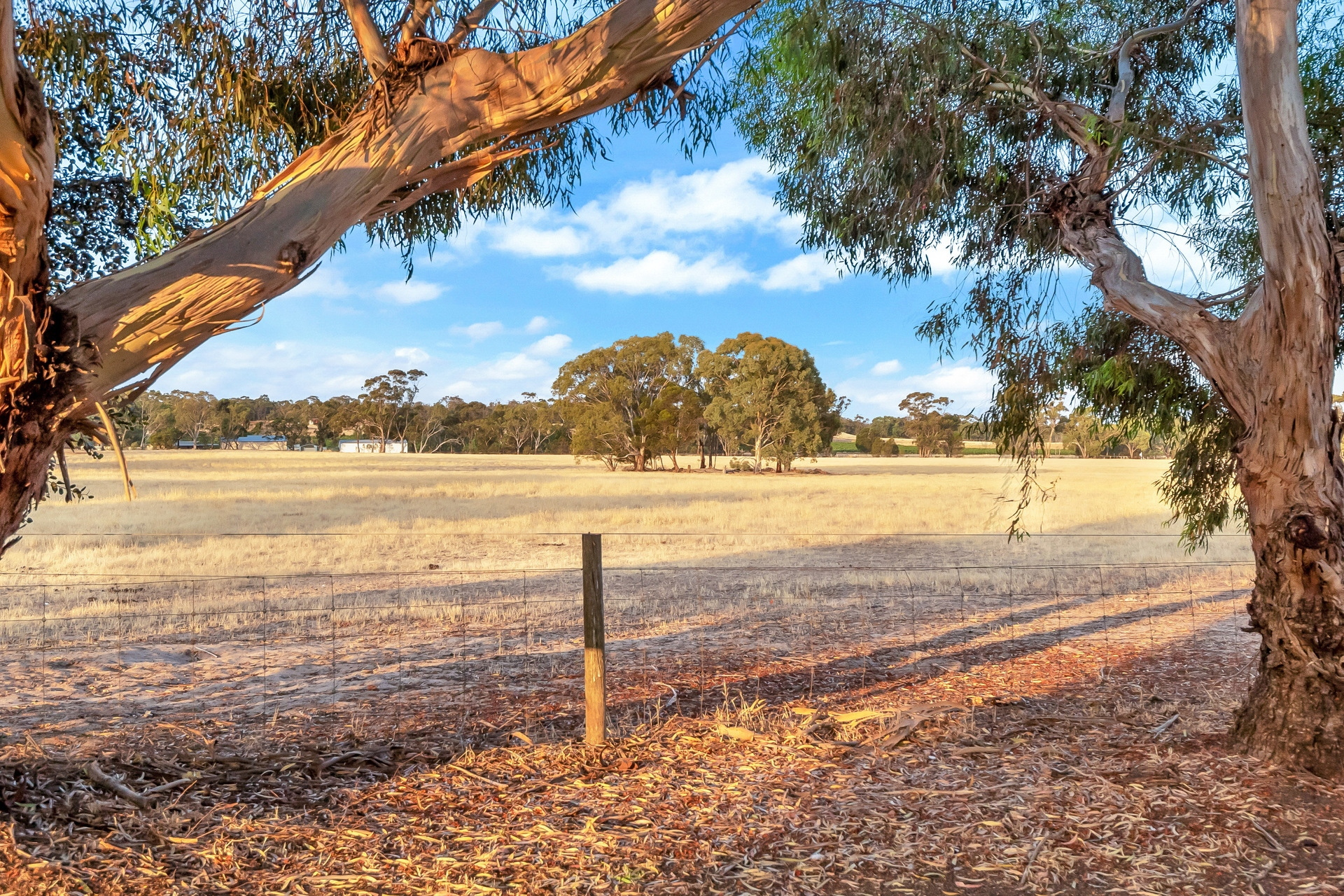 House Sold 191 Samuel Road, Nuriootpa