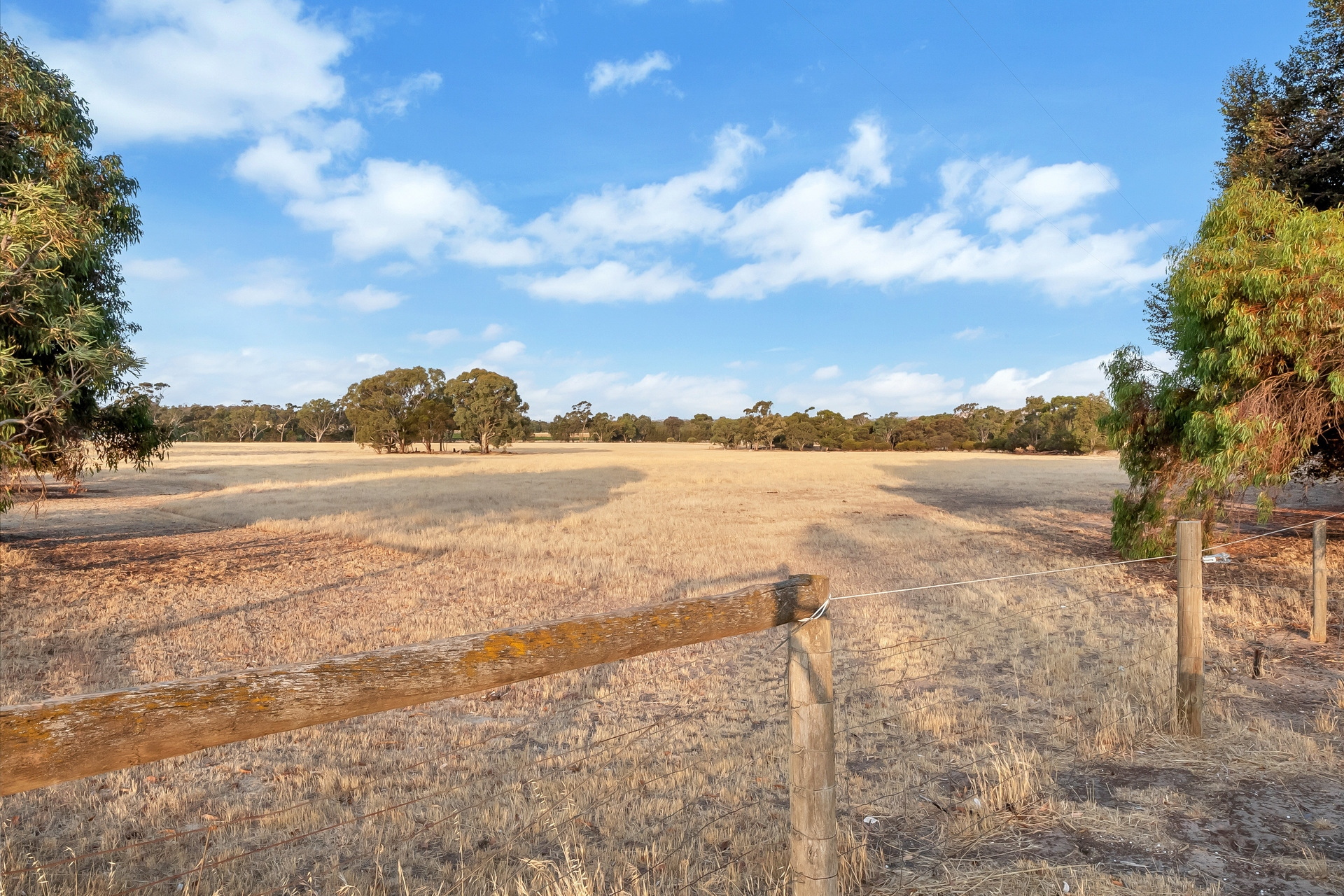 House Sold 191 Samuel Road, Nuriootpa