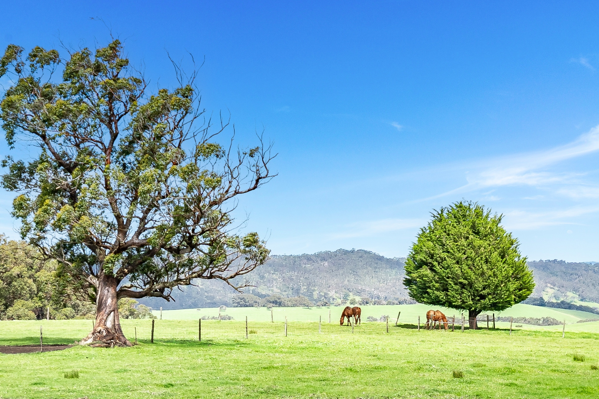 House Leased 270 Woodgate Hill Road, Kyeema