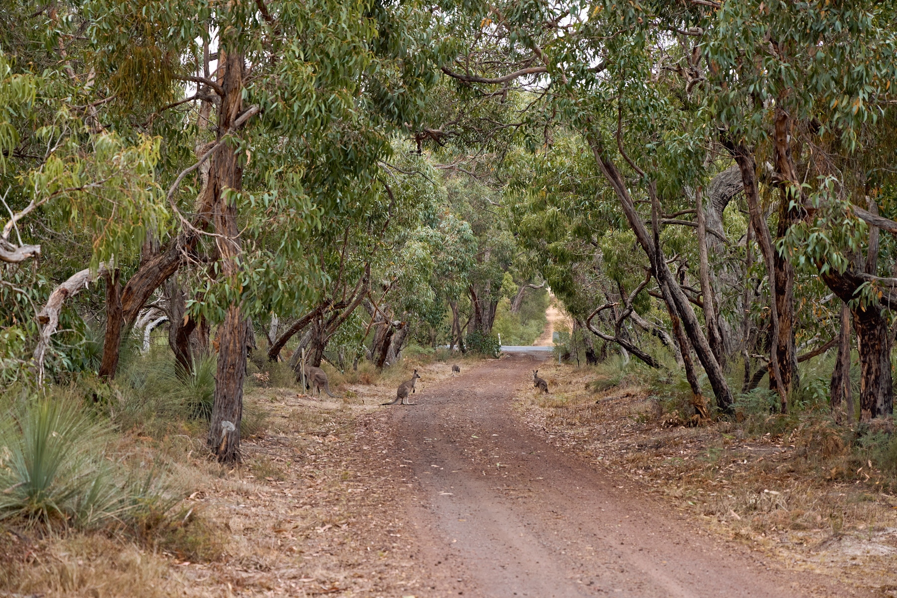 House For Sale 586 Victoria Valley Road, Dunkeld